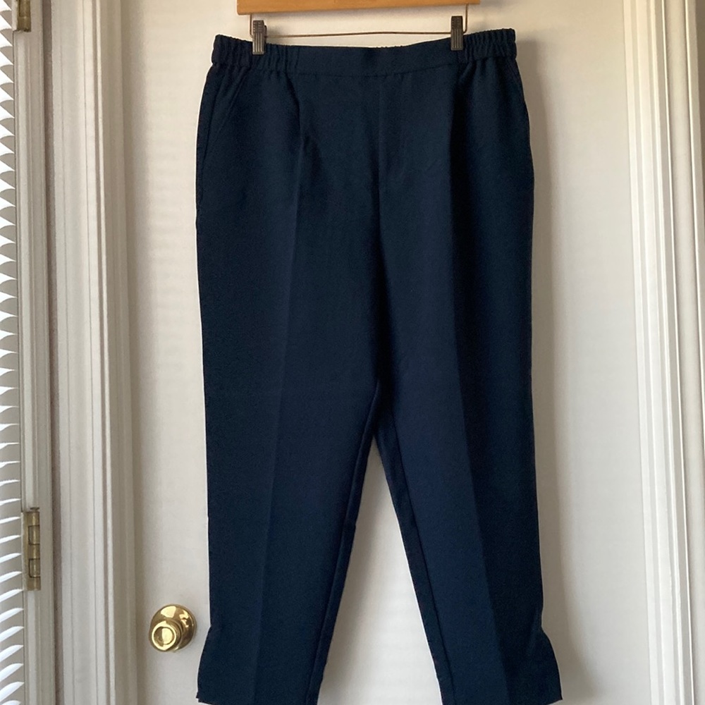 NWT! Anthropologie Pull on Ankle Pants Navy Blue